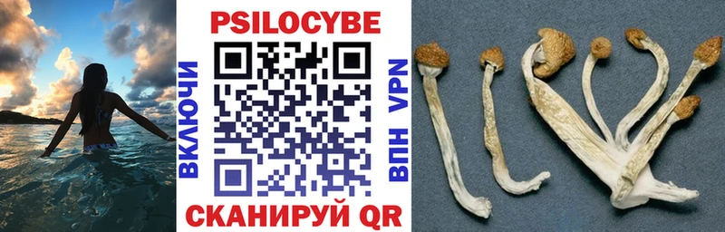 Галлюциногенные грибы GOLDEN TEACHER ссылка на мегу онион darknet Telegram Ессентуки