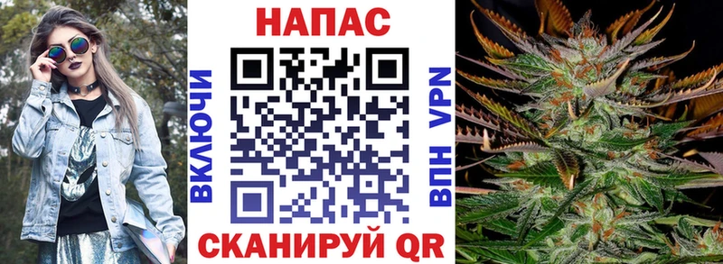 закладка  Ессентуки  Бошки Шишки индика 
